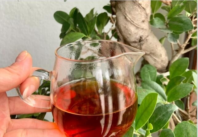 شاي الصخرة وويوي هو شاي تقليدي مشهور في الصين. إنه شاي أولونغ مع خصائص جودة سحر الصخرة (روك)